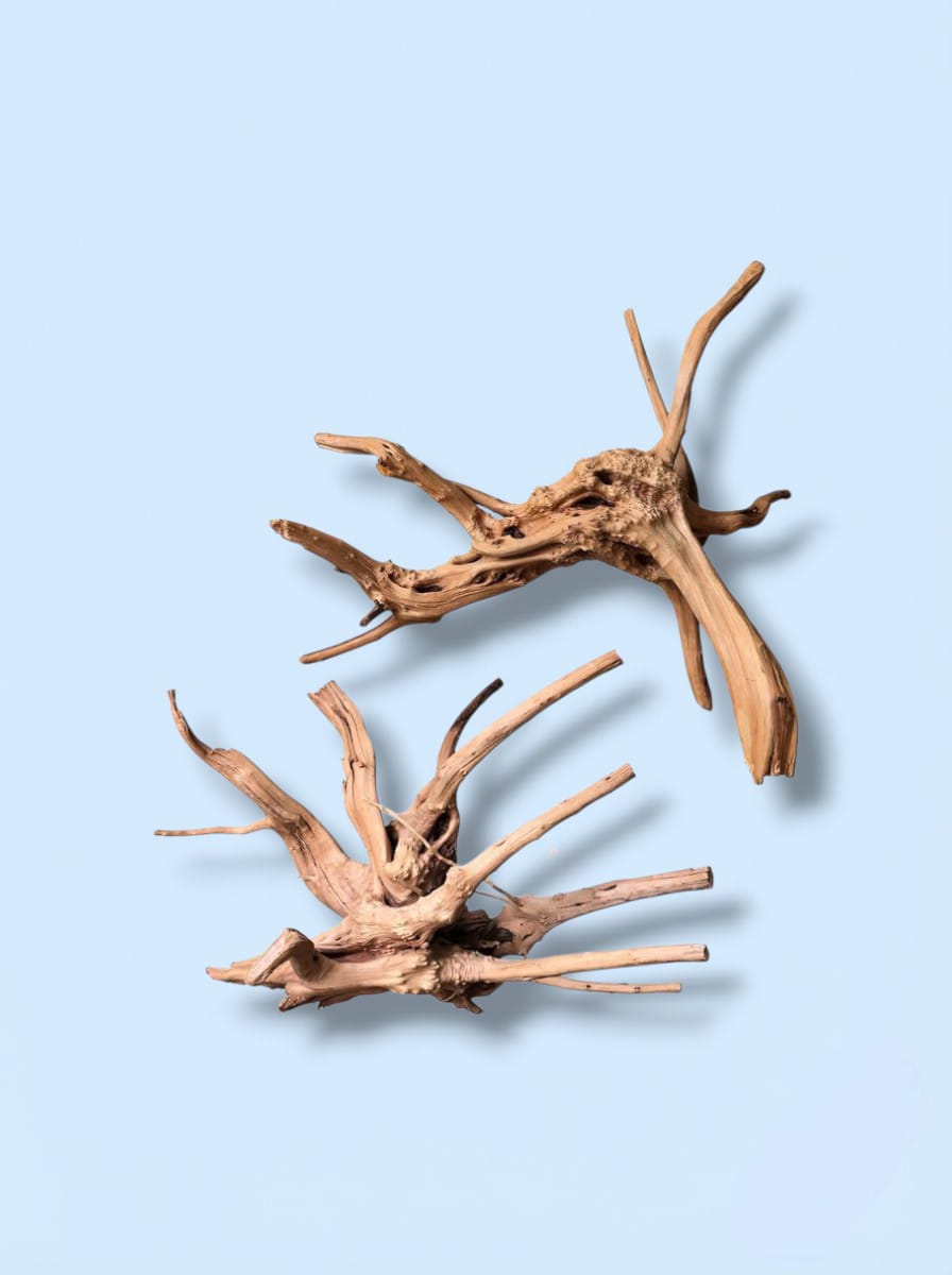 Natural Aquarium Driftwood Natural Aquarium Driftwood - Image 1